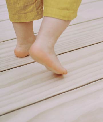 Accoya Header
