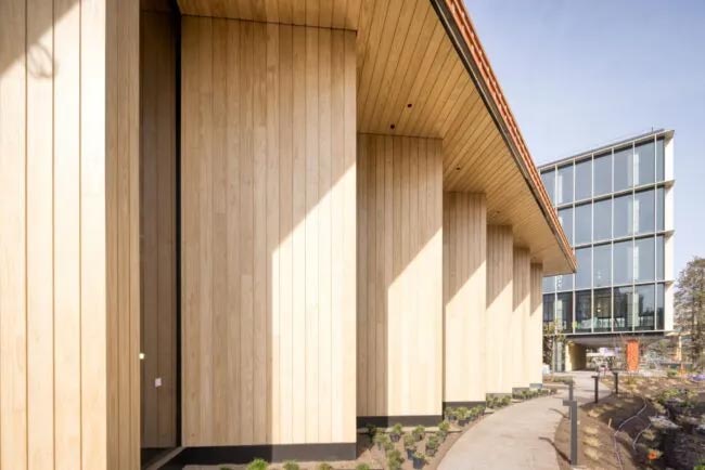 Accoya Header